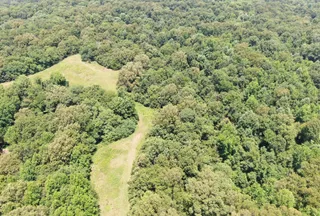Hunting Land for sale in Panola County, Mississippi