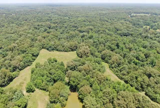 Hunting Land for sale in Panola County, Mississippi