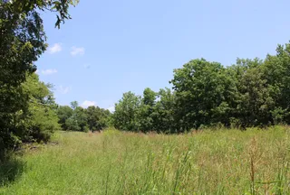 Hunting Land for sale in Panola County, Mississippi