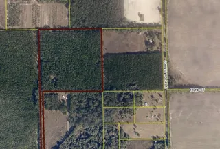Hunting Land for sale in Suwannee County, Florida