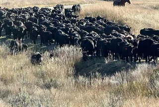 Recreational Property for sale in Musselshell County, Montana