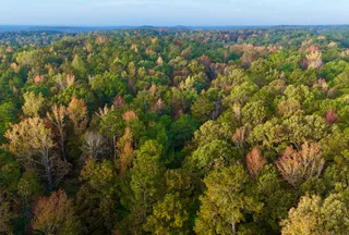 Undeveloped Land for sale in Talbot County, Georgia