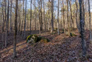 Undeveloped Land for sale in Talbot County, Georgia
