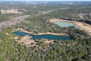 Undeveloped Land for sale in Mobile County, Alabama