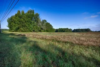 Undeveloped Land for sale in Madison County, Alabama