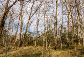 Recreational Property for sale in Rankin County, Mississippi