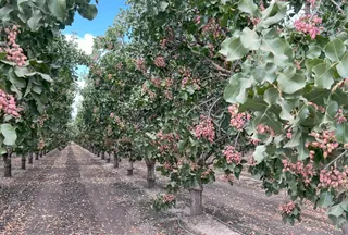Ranch Property for sale in Kings County, California