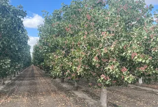 Ranch Property for sale in Kings County, California