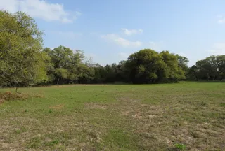 Hunting Land for sale in Lavaca County, Texas