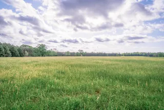 Ranch Property for sale in Cass County, Texas