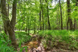 Recreational Property for sale in Lancaster County, South Carolina