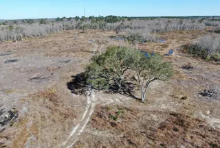 Hunting Land for sale in Madison County, Florida