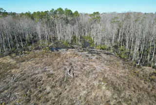 Hunting Land for sale in Madison County, Florida
