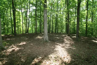 Undeveloped Land for sale in Williamson County, Tennessee