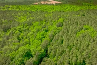 Property for sale in Fairfield County, South Carolina