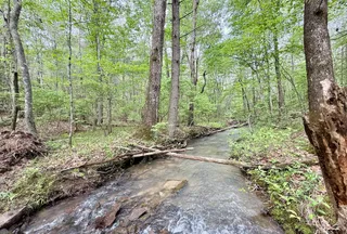 Recreational Property for sale in Morgan County, Tennessee