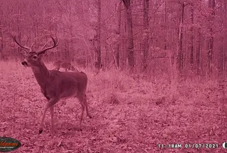 Recreational Property for sale in Morgan County, Tennessee