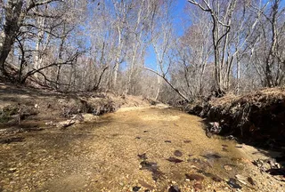 Hunting Land for sale in Cleburne County, Alabama