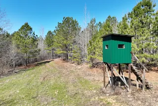 Hunting Land for sale in Cleburne County, Alabama
