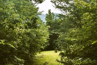Undeveloped Land for sale in McMinn County, Tennessee