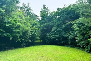Undeveloped Land for sale in McMinn County, Tennessee