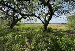 Ranch Property for sale in Duval County, Texas