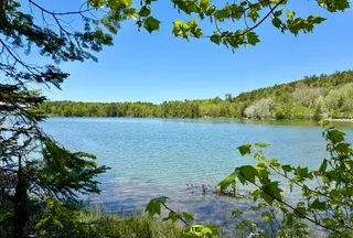 Undeveloped Land for sale in Hancock County, Maine