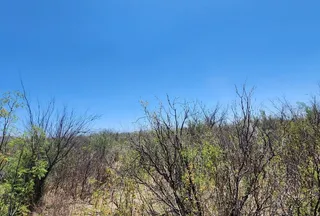 Riverfront Property for sale in Hudspeth County, Texas