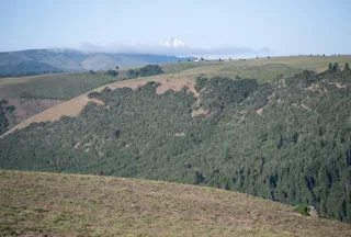 Undeveloped Land for sale in Klickitat County, Washington
