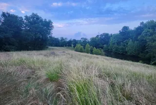 Ranch Property for sale in Lauderdale County, Tennessee