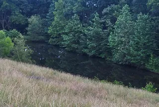 Ranch Property for sale in Lauderdale County, Tennessee