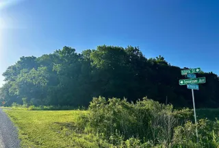Undeveloped Land for sale in Taylor County, Iowa