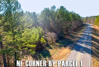 Recreational Property for sale in Union County, Mississippi