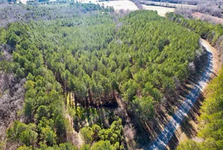 Recreational Property for sale in Union County, Mississippi