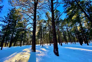 Ranch Property for sale in Colfax County, New Mexico