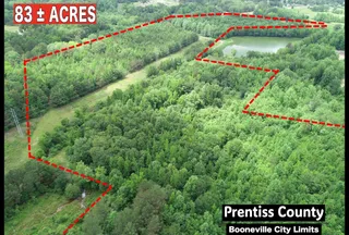 Undeveloped Land for sale in Prentiss County, Mississippi