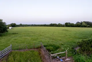 Undeveloped Land for sale in Houston County, Texas
