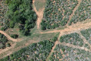 Ranch Property for sale in Duval County, Texas