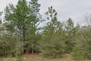 Recreational Property for sale in Walton County, Florida