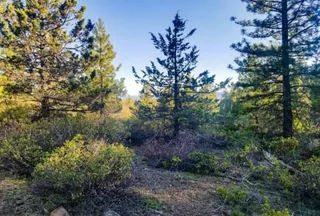Undeveloped Land for sale in Klamath County, Oregon