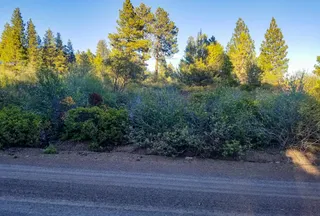 Undeveloped Land for sale in Klamath County, Oregon