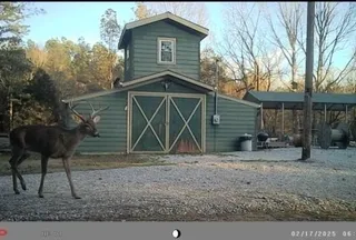 Property for sale in Marshall County, Mississippi