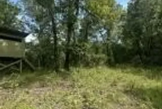 Property for sale in Marshall County, Mississippi