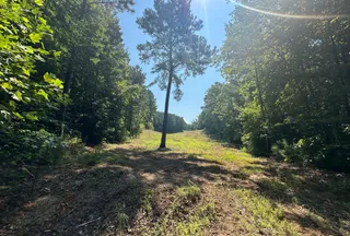 Lakefront Property for sale in Etowah County, Alabama