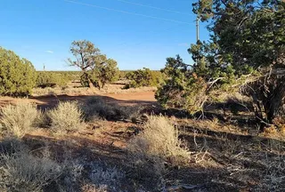 Recreational Property for sale in Navajo County, Arizona