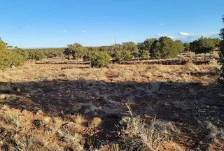 Recreational Property for sale in Navajo County, Arizona