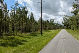 Undeveloped Land for sale in Suwannee County, Florida