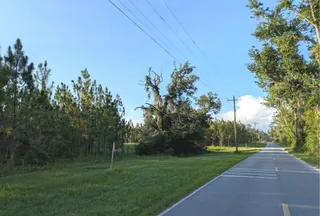 Undeveloped Land for sale in Suwannee County, Florida