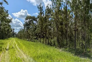 Undeveloped Land for sale in Suwannee County, Florida