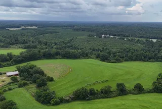 Ranch Property for sale in Pike County, Alabama